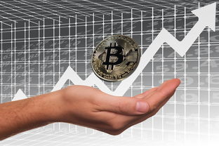 开云体育官网下载安装-英超俱乐部母公司上市路径与股价波动分析，英超球队股份