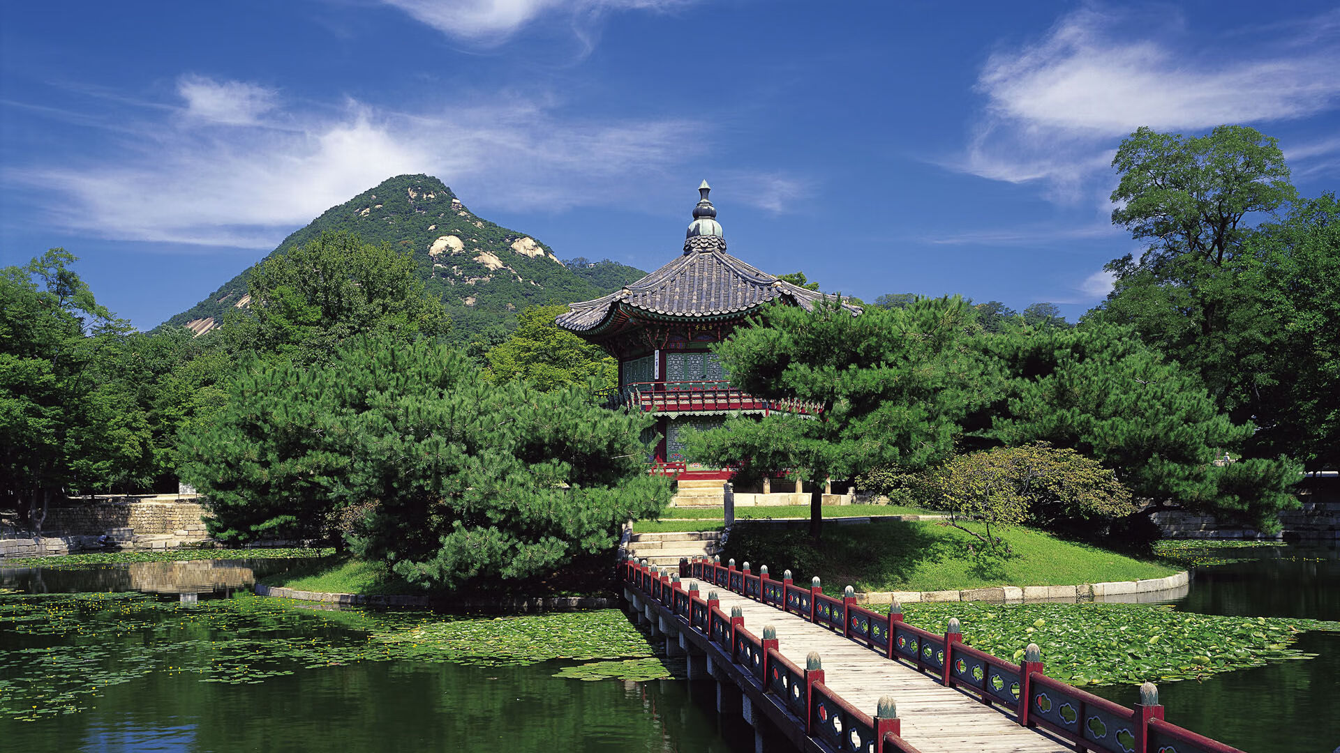 国家队引入外籍技战术顾问拓展阵容打法宽度,国家队外籍教练有哪些